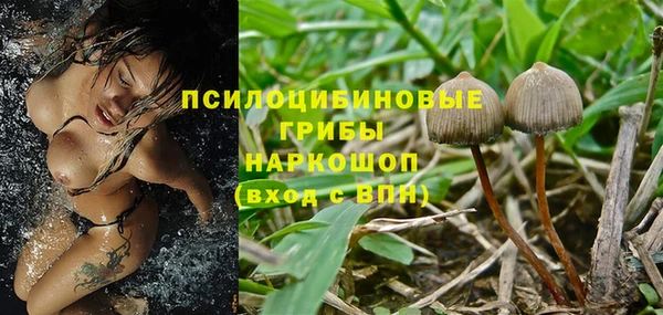 марки lsd Костерёво