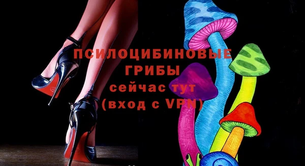 a pvp Алзамай