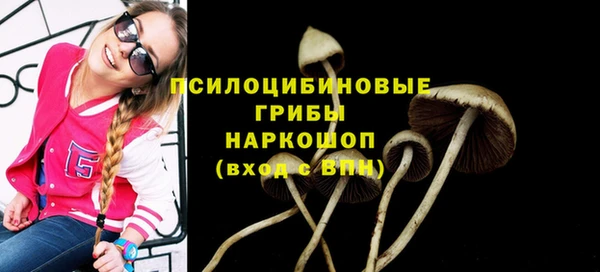 a pvp Алзамай